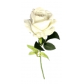 Single Rose White 3"